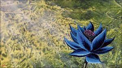 WOTC - MAGIC THE GATHERING - MTG Booster Boxes