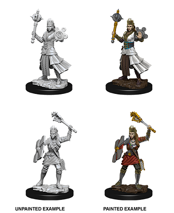 Female Human Clerics D&D Unpainted Minis WV1