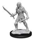 Male Elf Fighter Pathfinder Unpainted Minis WV6