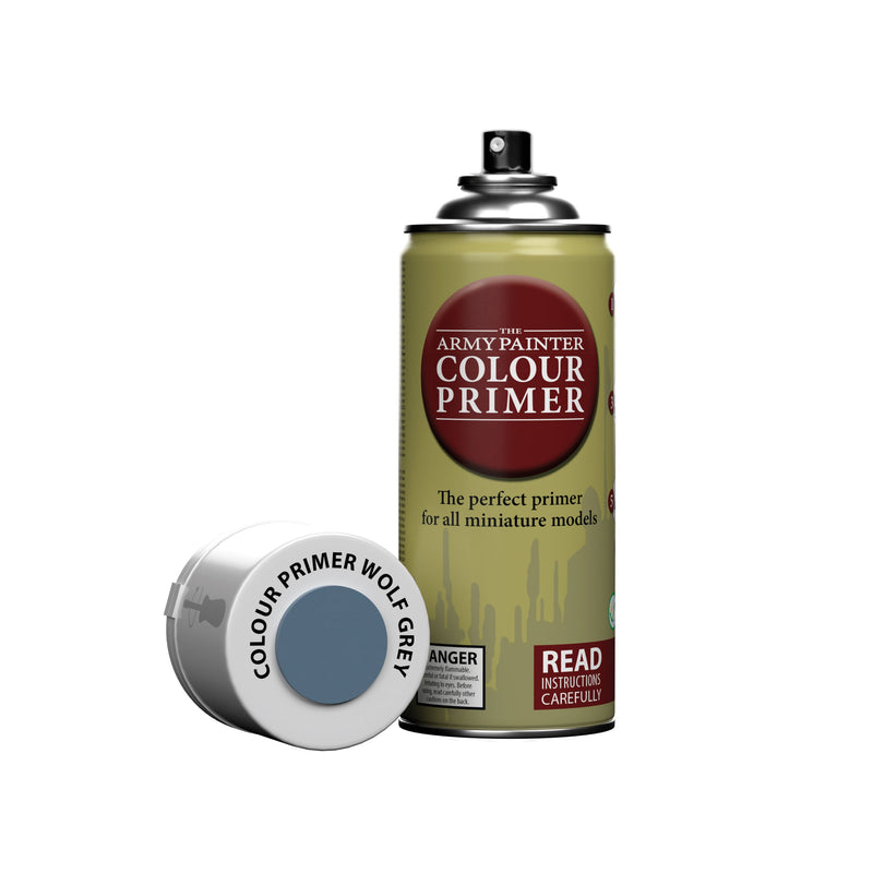 COLOUR PRIMER: WOLF GREY SPRAY