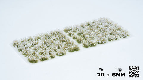 Gamers Grass White Flowers - Wild