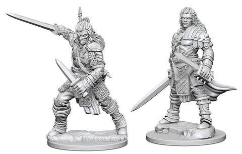 Male Human Fighter Pathfinder Unpainted Minis WV1