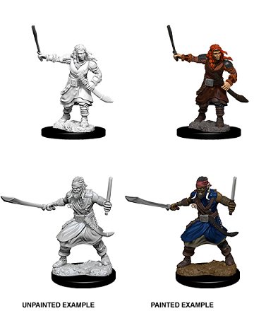 Bandits D&D Unpainted Minis WV8