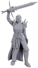DND UNPAINTED MINIS WV25 BLACKGUARD