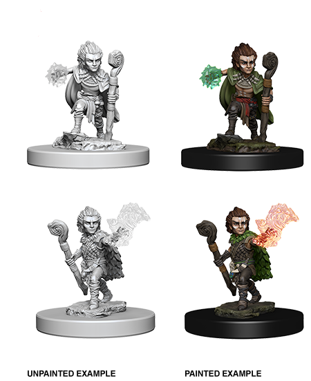 Male Gnome Druid Pathfinder Unpainted Minis WV5