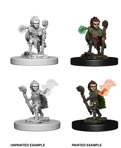 Male Gnome Druid Pathfinder Unpainted Minis WV5