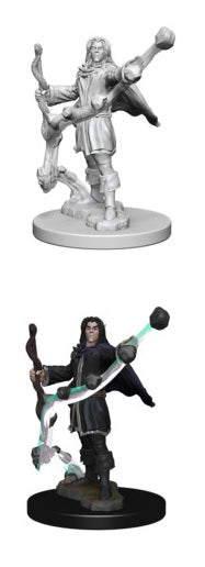 Male Elf Sorcerer Pathfinder Unpainted Minis WV1