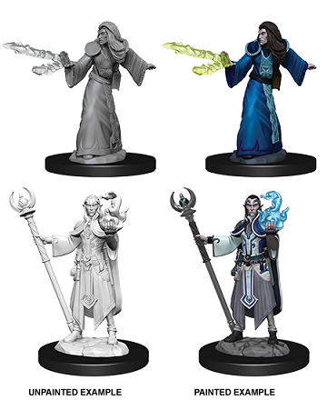 DND UNPAINTED MINIS WV9 MALE ELF WIZARD