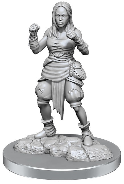 PF UNPAINTED MINIS WV21 HALF-ELF MONK FEMALES