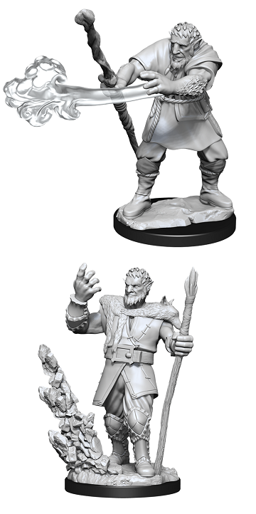 DND UNPAINTED MINIS WV11 MALE FIRBOLG DRUID