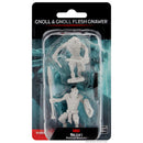 Gnoll & Gnoll Flesh Gnawer D&D Unpainted Minis WV12