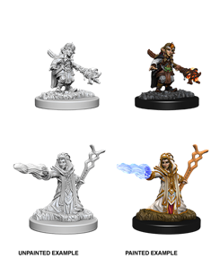 Female Gnome Wizard D&D Unpainted Minis WV6