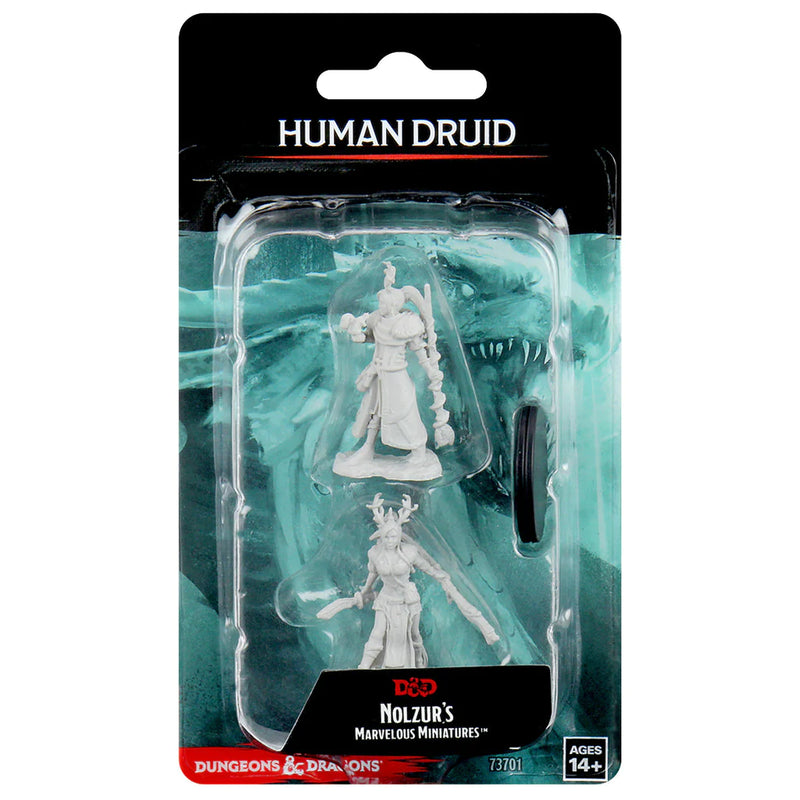 Female Human Druid D&D Unpainted Minis WV14