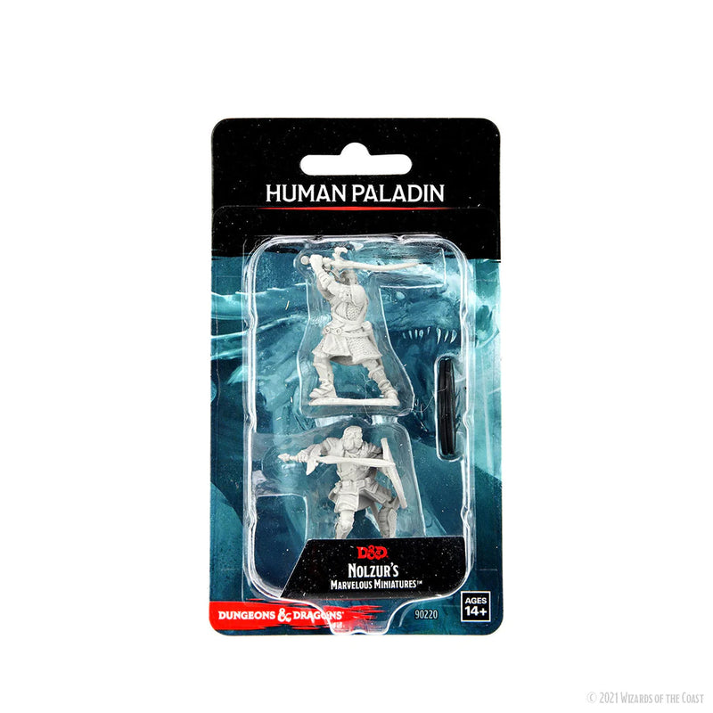 Male Human Paladin D&D Unpainted Minis WV14