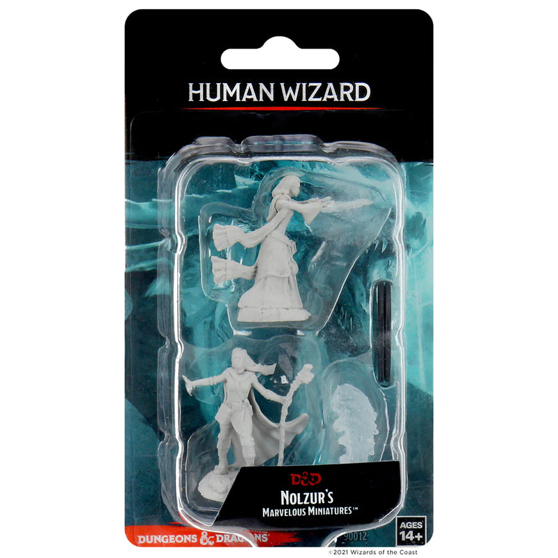 Female Human Wizard D&D Unpainted Minis WV11