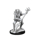 DND UNPAINTED MINIS WV14 KOALINTHS