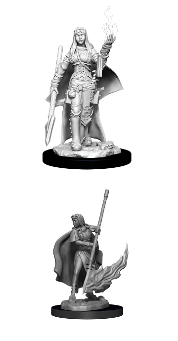 Female Human Oracle Pathfinder Unpainted Minis WV11