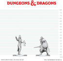DND UNPAINTED MINIS WV29 DROW ELITE WARRIOR & DROW PRIESTESS OF LOLTH (36/144)