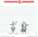 DND UNPAINTED MINIS WV29 KNIGHT & MAGE APPRENTICE (36/144)