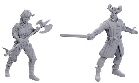 DND UNPAINTED MINIS SPECIAL EDITION BALDUR'S GATE 3 - WYLL & KARLACH