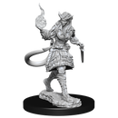Female Tiefling Sorcerer D&D Unpainted Minis WV15