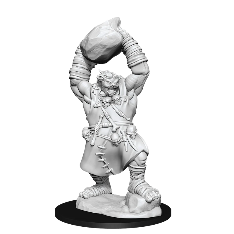 Ogre D&D Unpainted Minis WV11