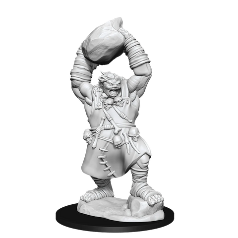 Ogre D&D Unpainted Minis WV11