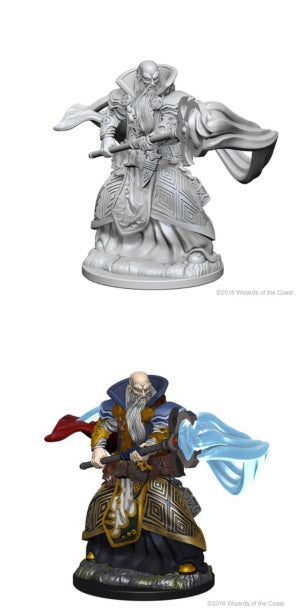 Male Human Wizard D&D Unpainted Minis WV1