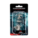 Male Human Sorcerer Merchant and Tiger Demon D&D Unpainted Minis WV3 (Critical Role)